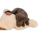 Trixie Knuffel Hondbenny Pluche Beige / Bruin