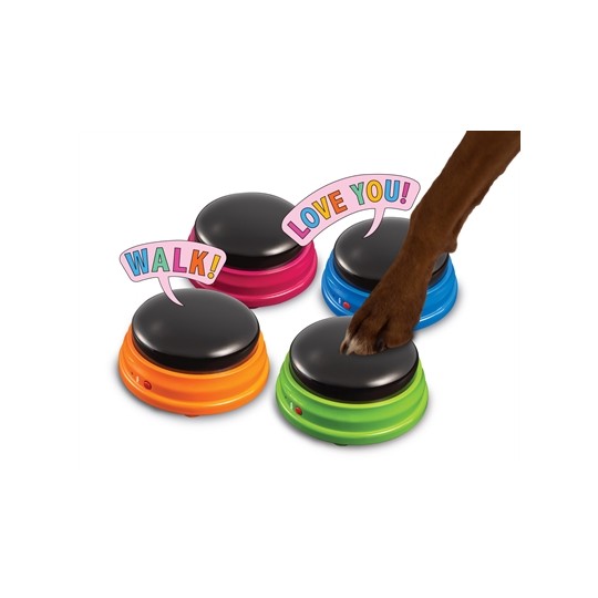 Hunger For Words Talking Pet Starter Set