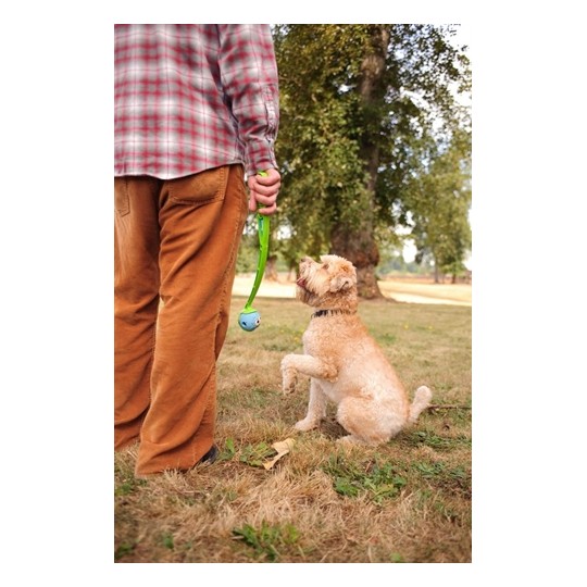 Chuckit The Whistler