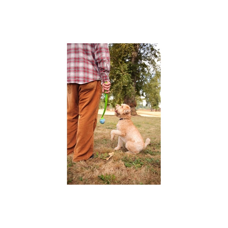 Chuckit The Whistler