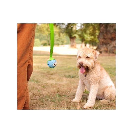 Chuckit The Whistler