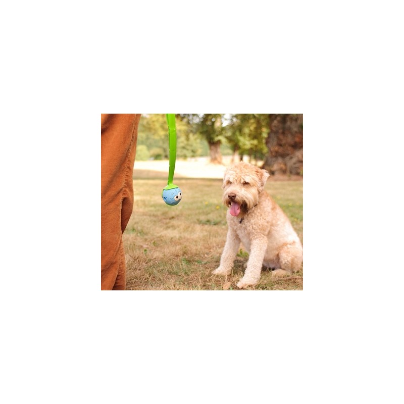 Chuckit The Whistler