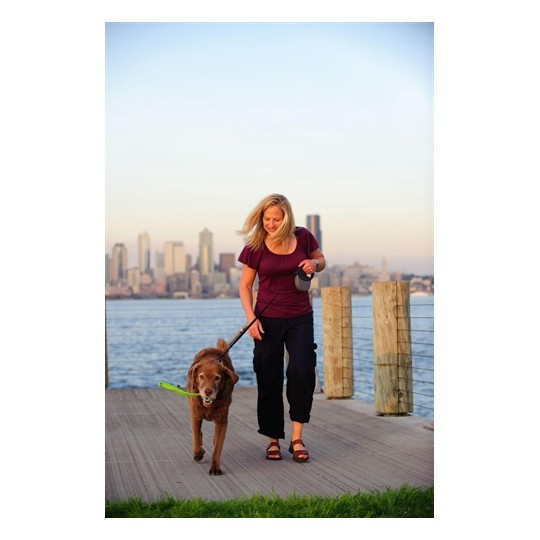 Chuckit The Whistler