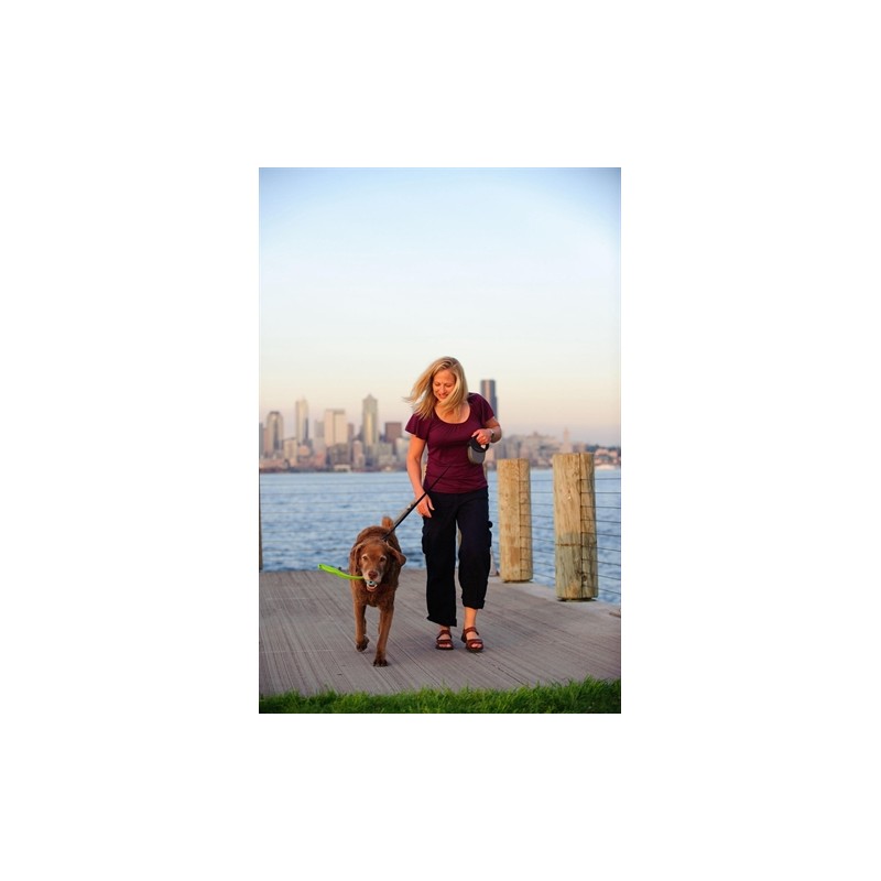 Chuckit The Whistler