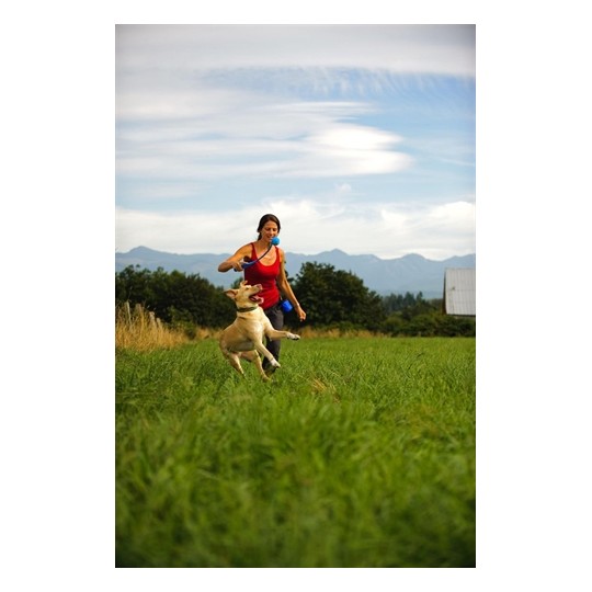 Chuckit The Whistler