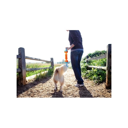 Chuckit Rugged Bumper