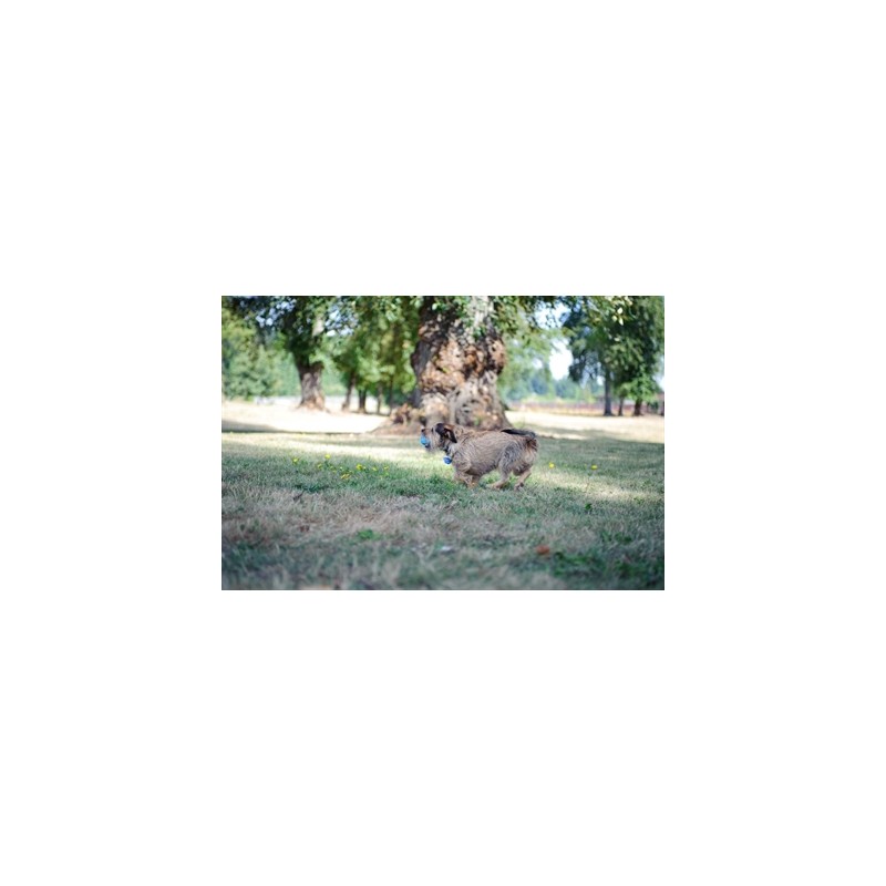 Chuckit Hondenspeelgoed The Whistler