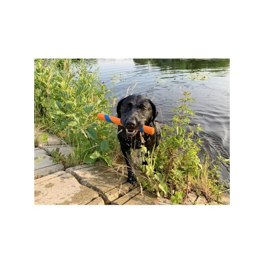 Chuckit Ultra Fetch Stick
