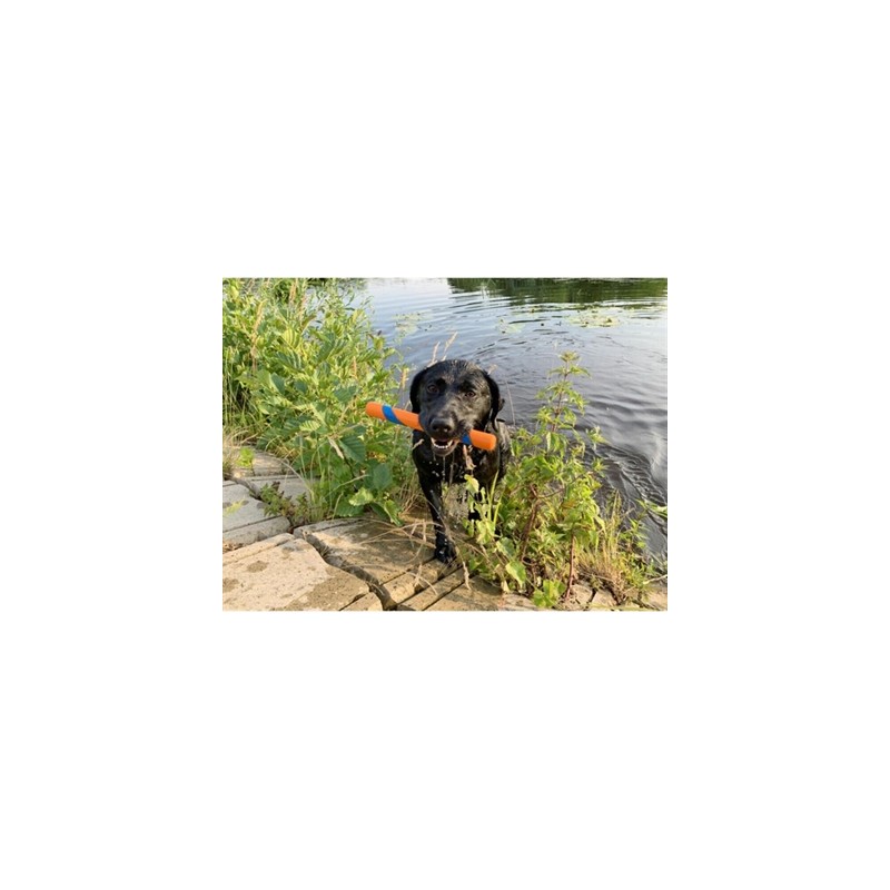 Chuckit Ultra Fetch Stick