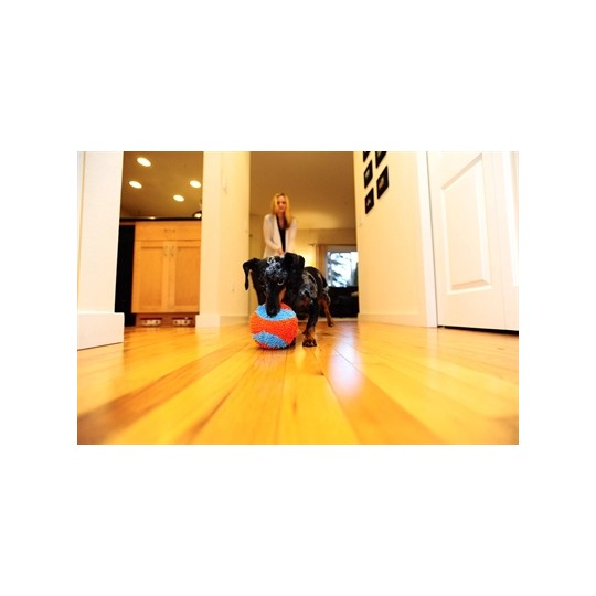 Chuckit Indoor Ball