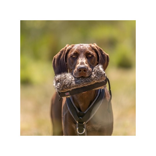 Trixie Snackdummy Kunstvacht