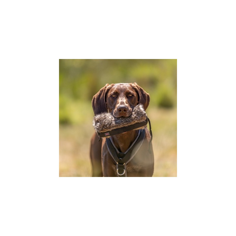 Trixie Snackdummy Kunstvacht