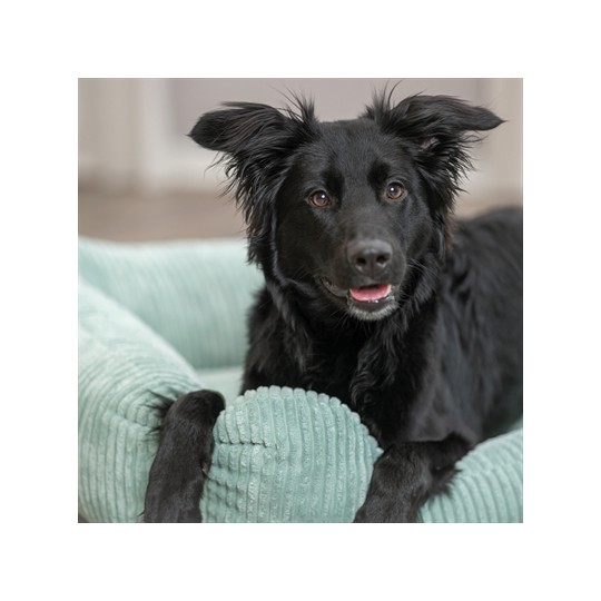 Trixie Hondenmand Jonna Vital Ribstof Saliegroen