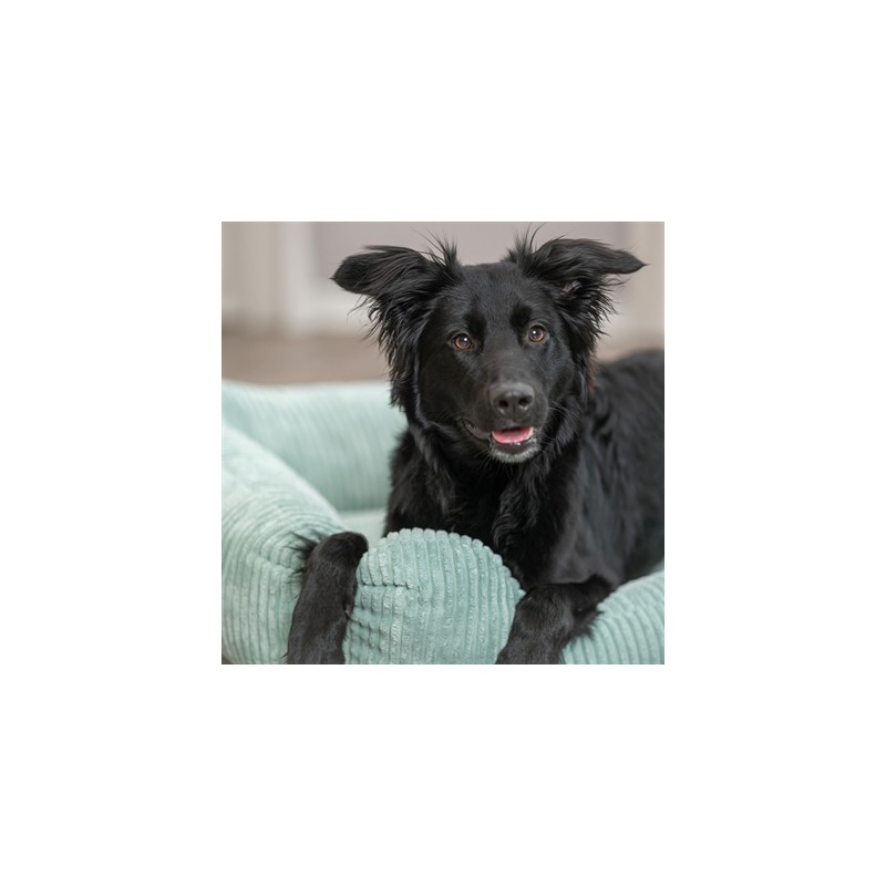 Trixie Hondenmand Jonna Vital Ribstof Saliegroen