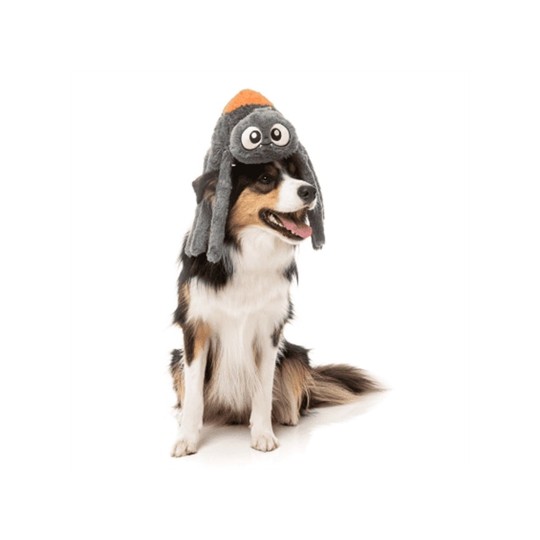 Fuzzyard Arachnate The Spider Grijs / Oranje