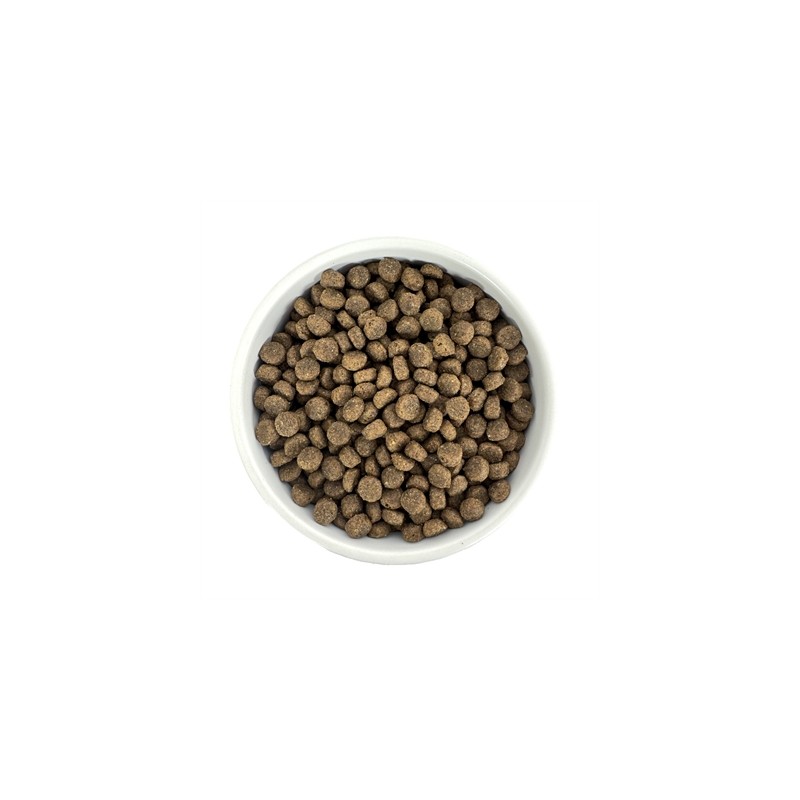 Budget Premium Small Breed