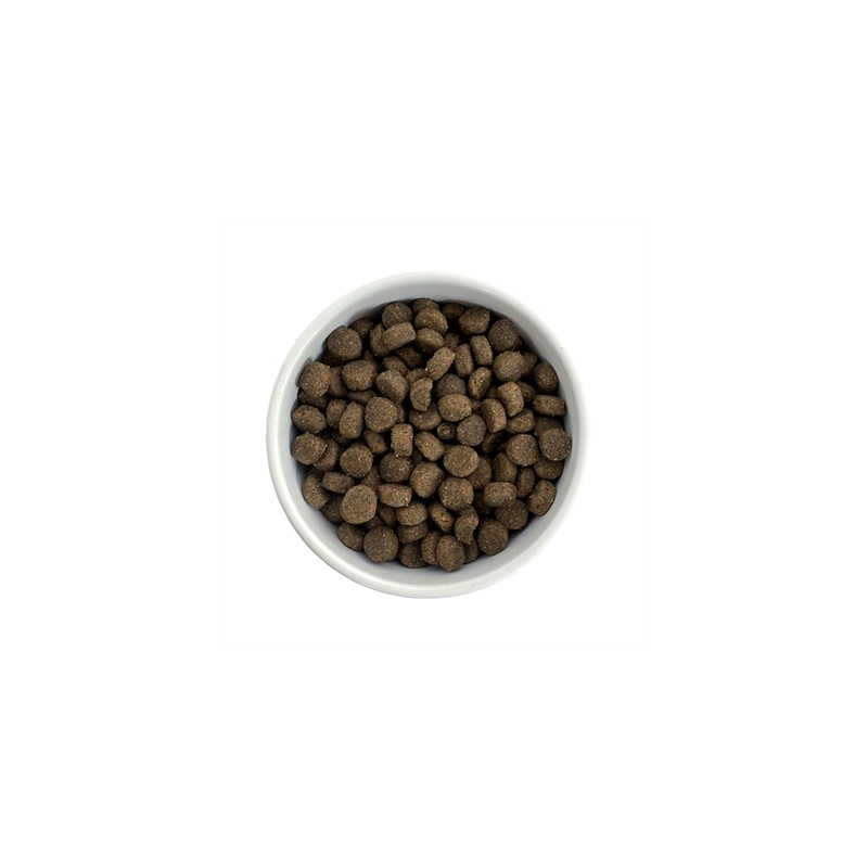 Budget Premium Fresh Lamb