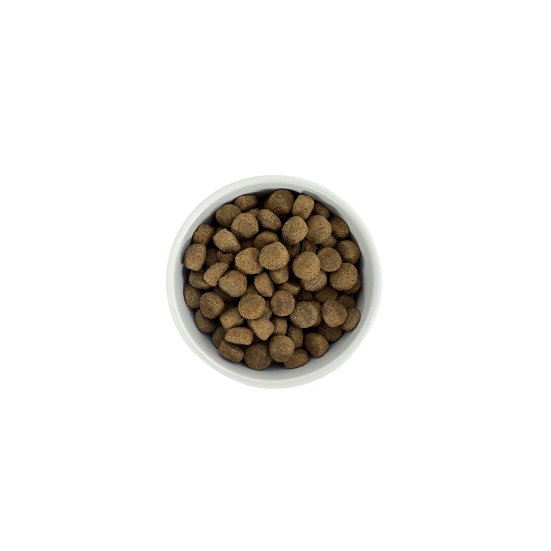 Budget Premium Lamb & Mobility