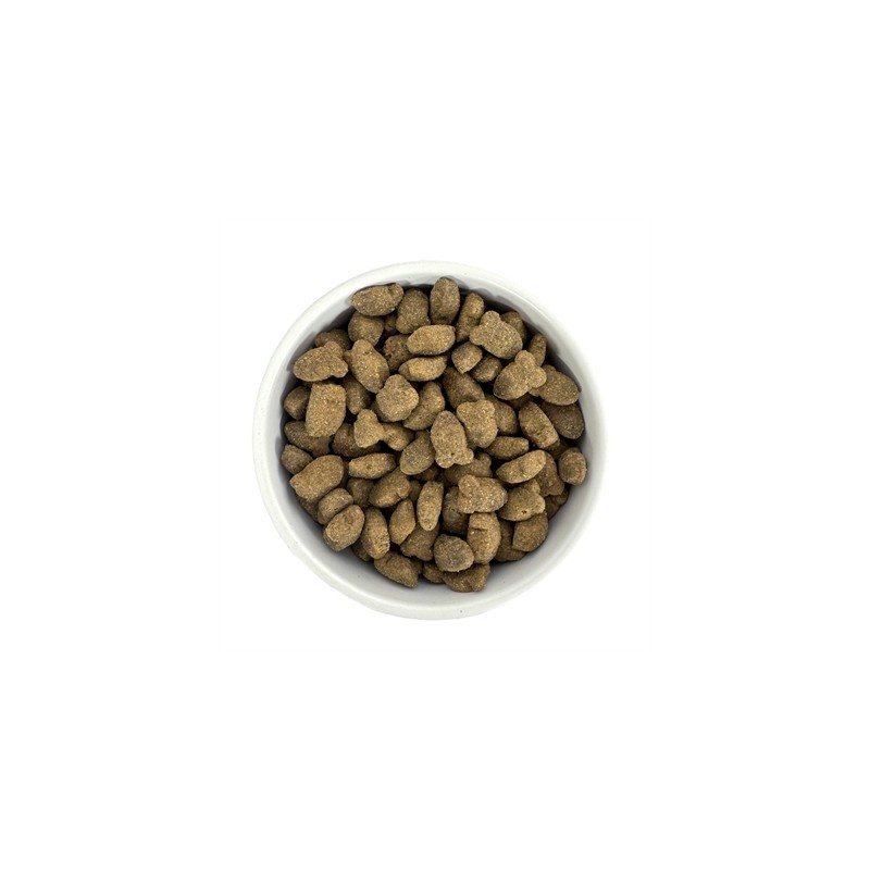 Budget Premium Skin Control Fish