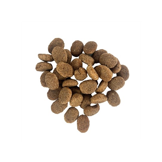 Excellent Adult Lam / Rijst