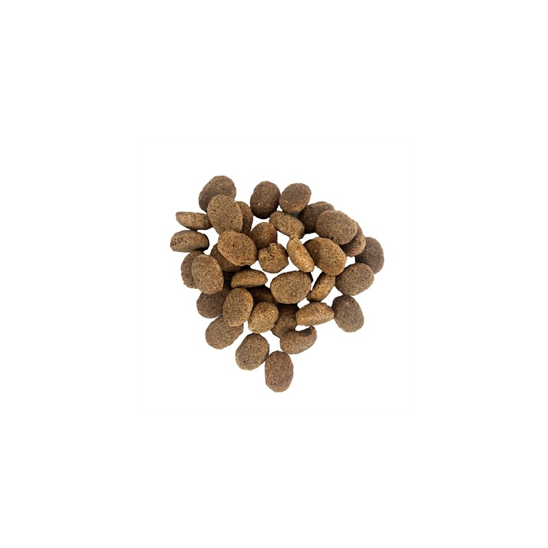 Excellent Adult Lam / Rijst