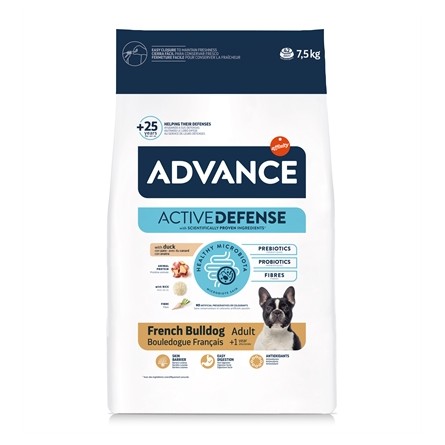 Advance Adult French Bulldog