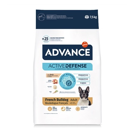 Advance Adult French Bulldog