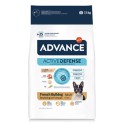 Advance Adult French Bulldog
