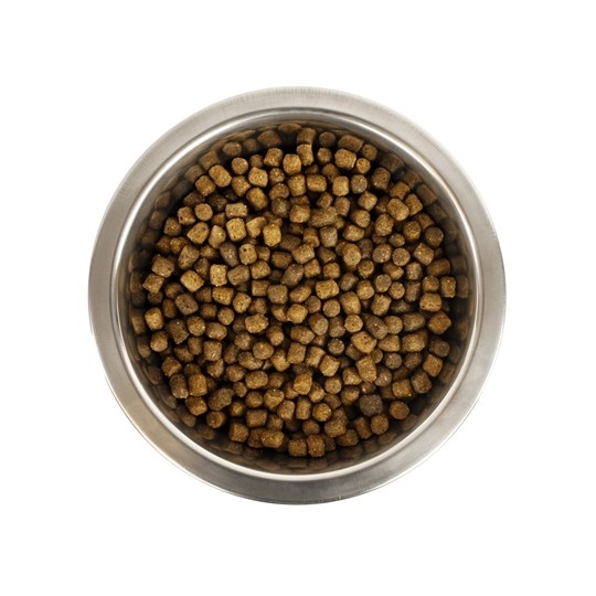 Yourdog Dwerg- Of Toypoedel Pup