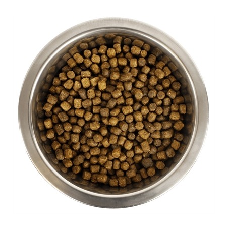 Yourdog Dwerg- Of Toypoedel Pup