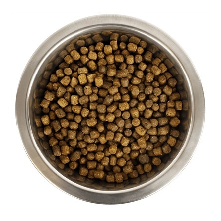 Yourdog Koningspoedel Pup