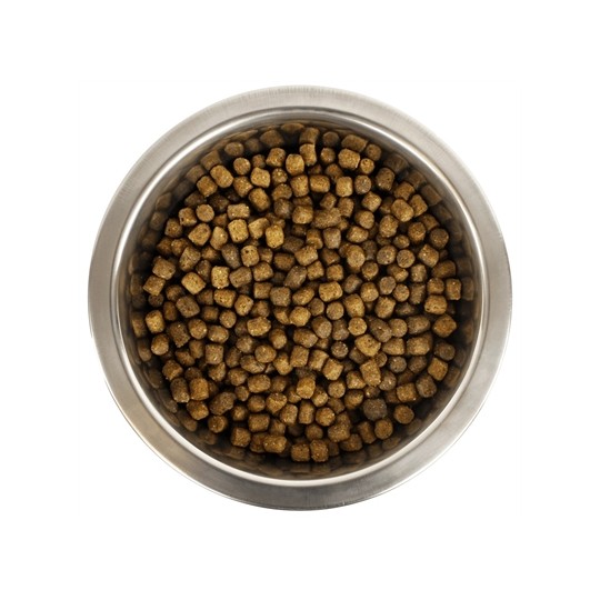 Yourdog Koningspoedel Pup