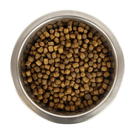 Yourdog Koningspoedel Pup