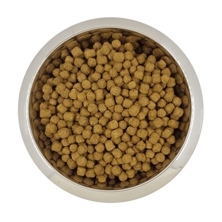 Yourdog Dwerg- Of Toypoedel Volwassen