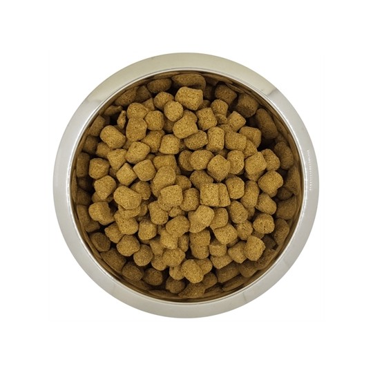 Yourdog Koningspoedel Senior