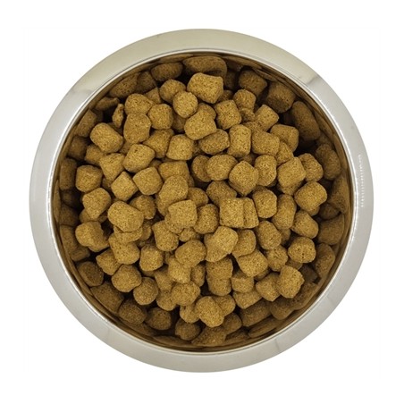 Yourdog Koningspoedel Senior