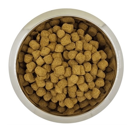 Yourdog Koningspoedel Volwassen