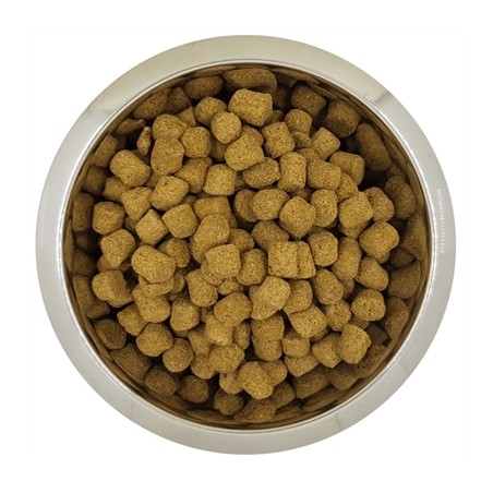 Yourdog Koningspoedel Volwassen