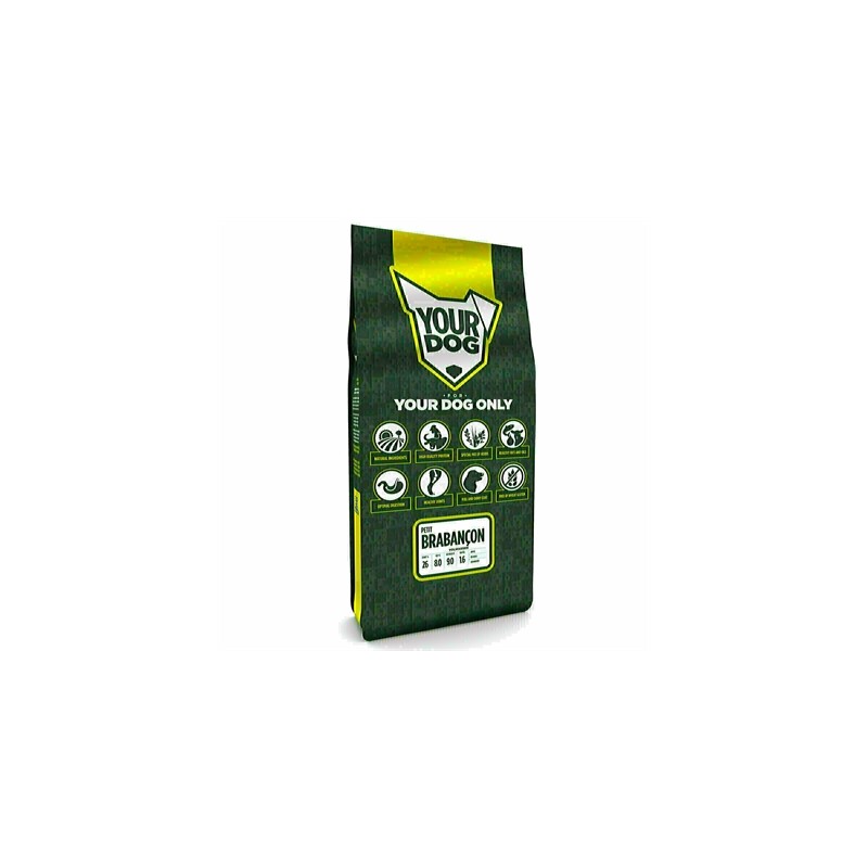 Yourdog Petit Brabançon Volwassen