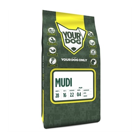 Yourdog Mudi Pup