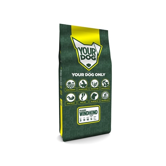 Yourdog Italiaanse Windhond Senior