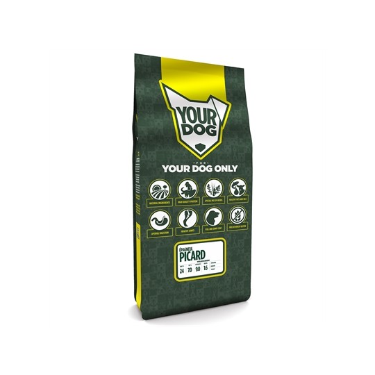 Yourdog Épagneul Picard Volwassen