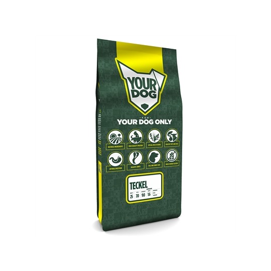 Yourdog Teckel Senior