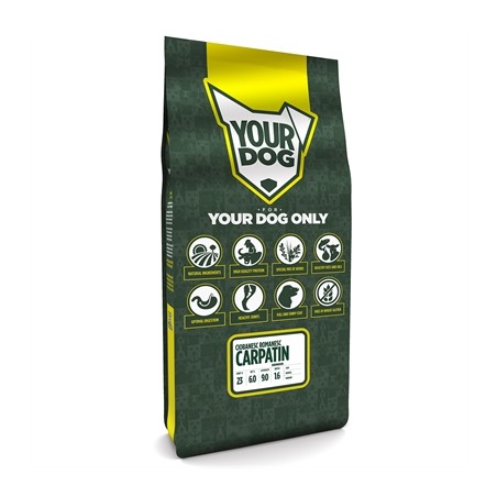 Yourdog Ciobanesc Romanesc Carpatin Senior