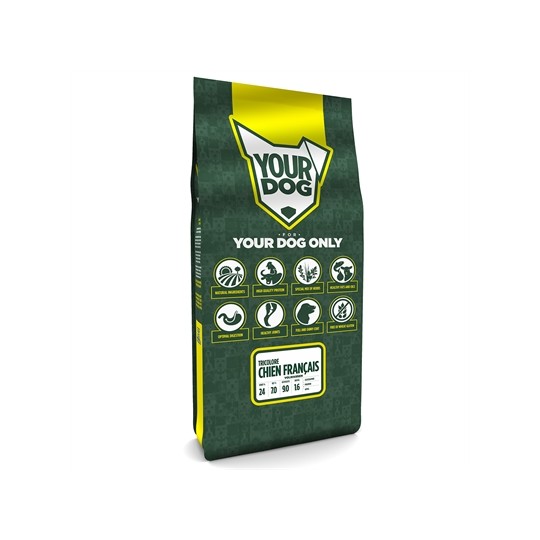 Yourdog Chien Français Tricolore Volwassen