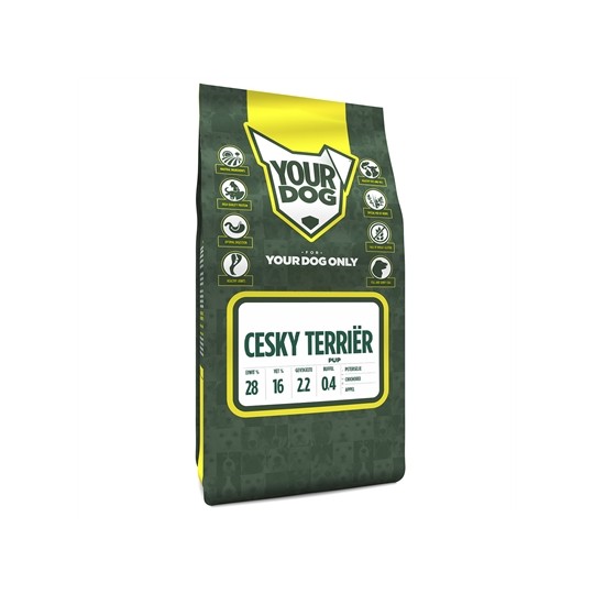 Yourdog Cesky Terriër Pup