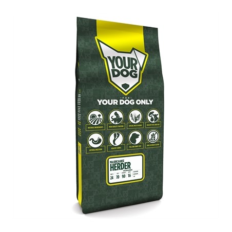 Yourdog Majorcaanse Herder Volwassen