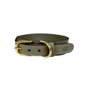 Sazzz Halsband Hond Pioneer Classic Leer Taupe