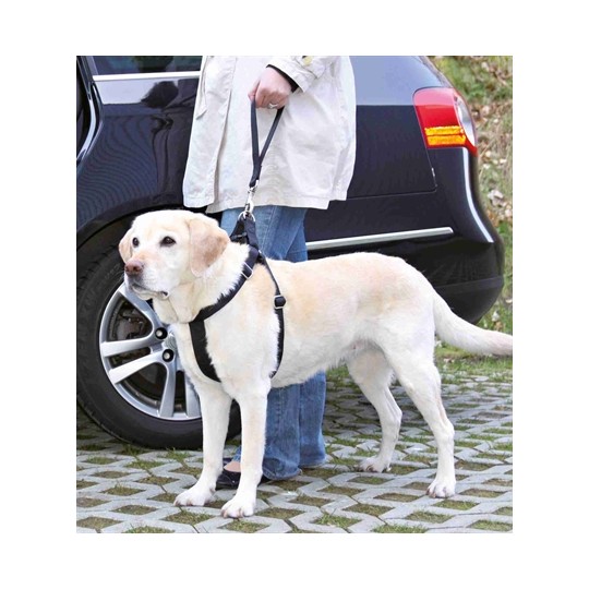 Trixie Autogordel Korthouder Universeel Zwart