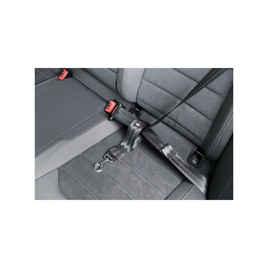 Trixie Autogordel Korthouder Universeel Zwart